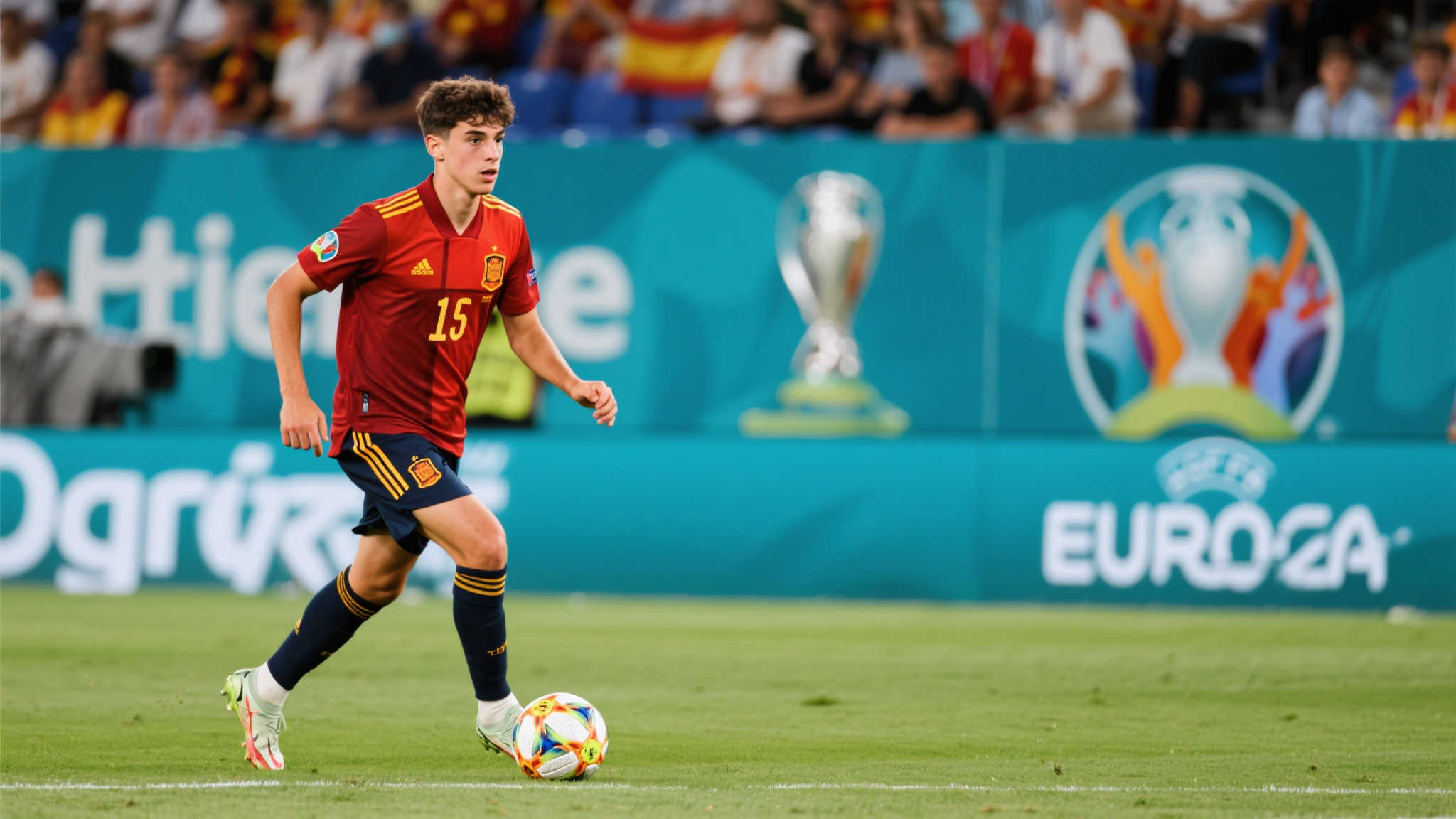 包括一些 包括一些