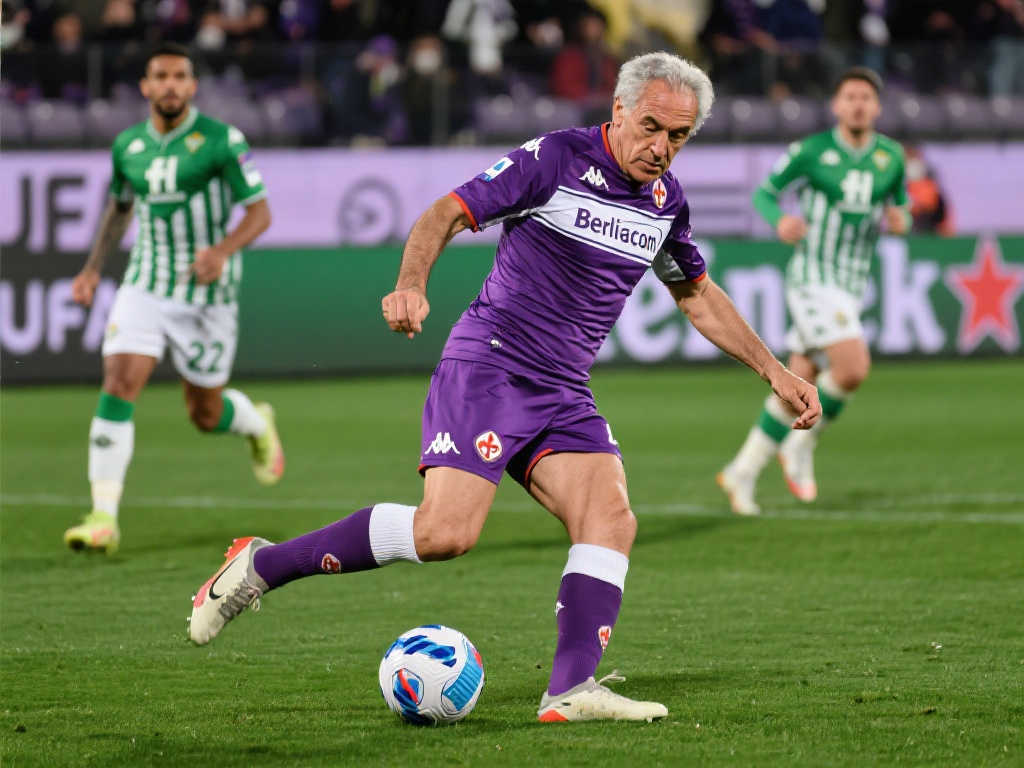 不仅展现了 不仅展现了